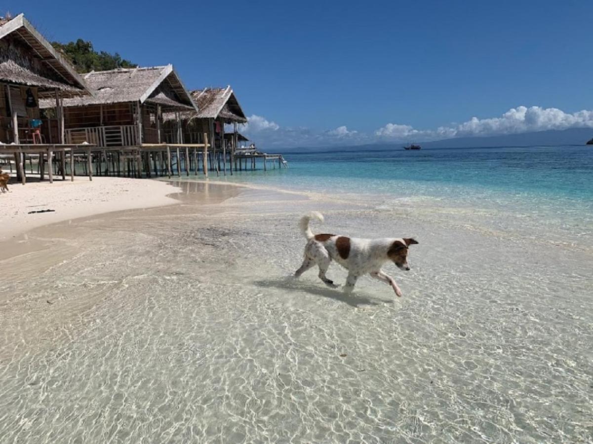 Kri Nus Homestay Raja Ampat المظهر الخارجي الصورة